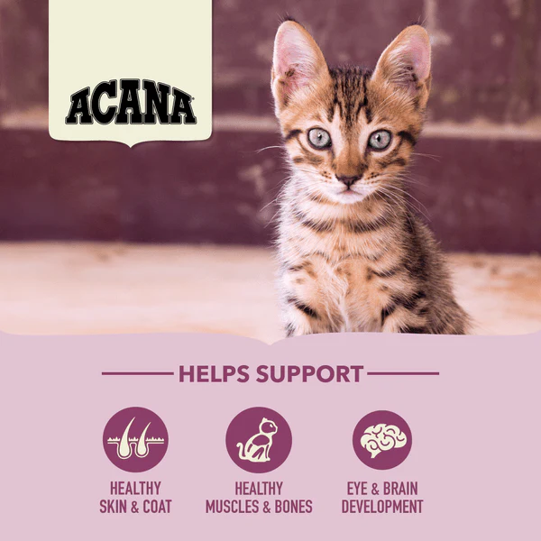 ACANA First Feast Dry Kitten Food - Image 2