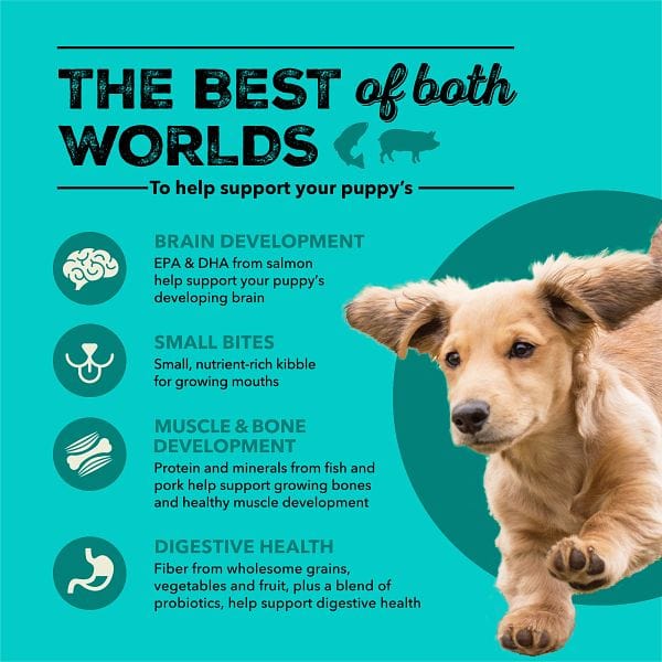 ACANA Healthy Grains Sea & Farm Puppy Recipe Dry Dog Food - Image 3