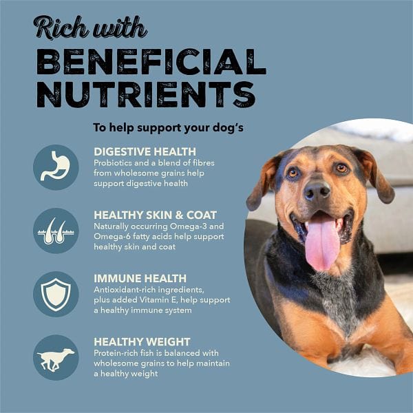 ACANA Healthy Grains Sea to Stream Recipe Dry Dog Food - Image 3
