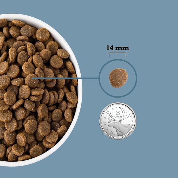 ACANA Healthy Grains Sea to Stream Recipe Dry Dog Food - Image 4
