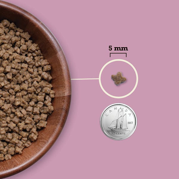 ACANA Highest Protein Recipe Dry Kitten Food, 1.8 kg - Image 3