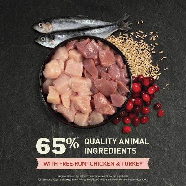 ACANA Indoor Entree Dry Cat Food - Image 4