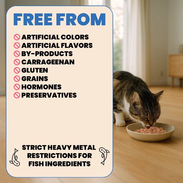 Almo Nature Complete HQS | Chicken with Carrots in Gravy Canned Cat Food - Image 4