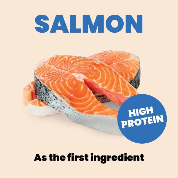 Almo Nature Complete HQS | Salmon with Papaya in Gravy Canned Cat Food - Image 5
