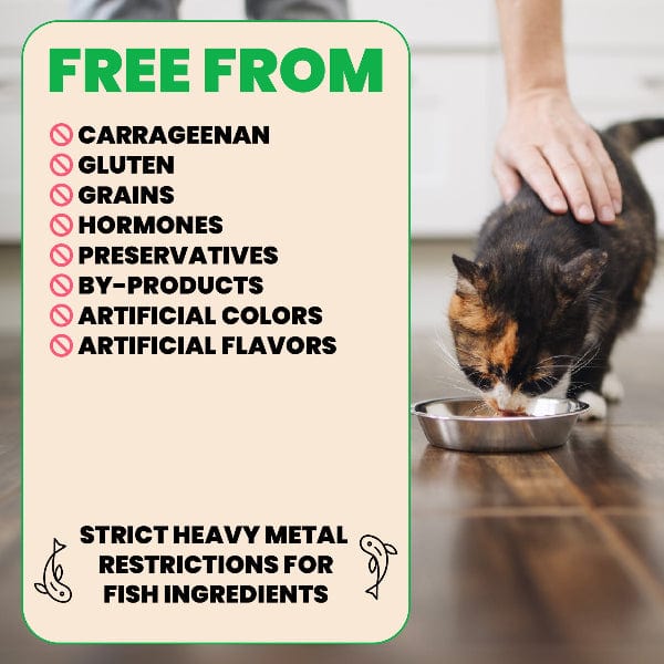 Almo Nature Natural HQS | Chicken Breast in Broth Canned Cat Food - Image 4