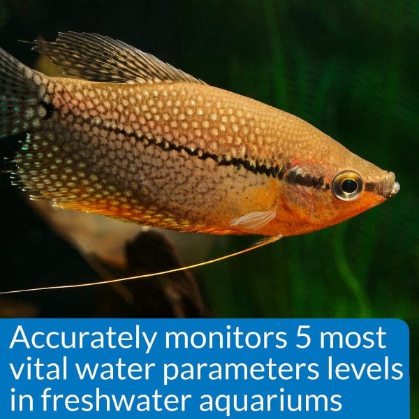 API Freshwater Master Test Kit - Image 4