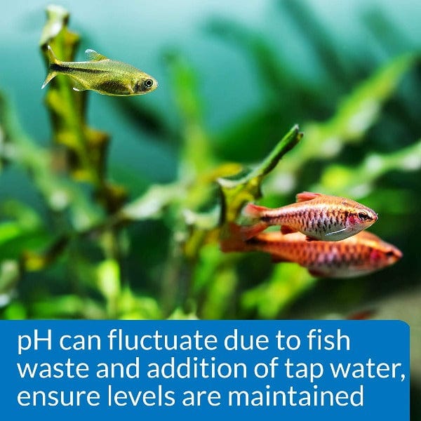 API Freshwater pH Test Kit - Image 2