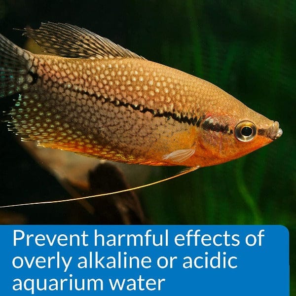 API Freshwater pH Test Kit - Image 3