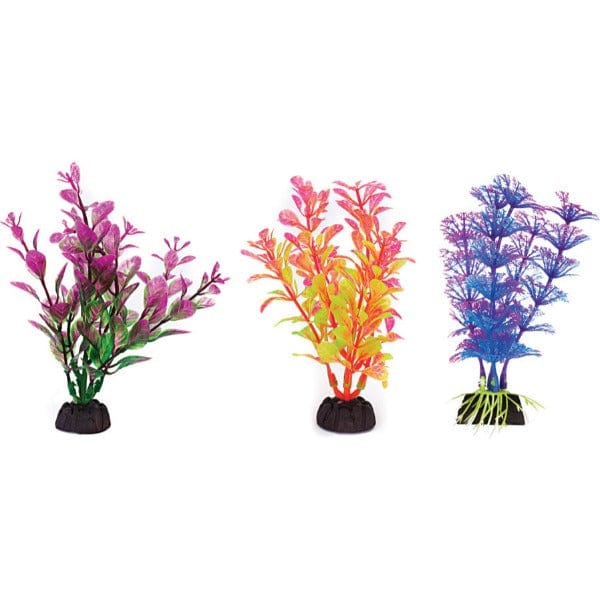 Aquaplant 4in Colorful 6pc Bag