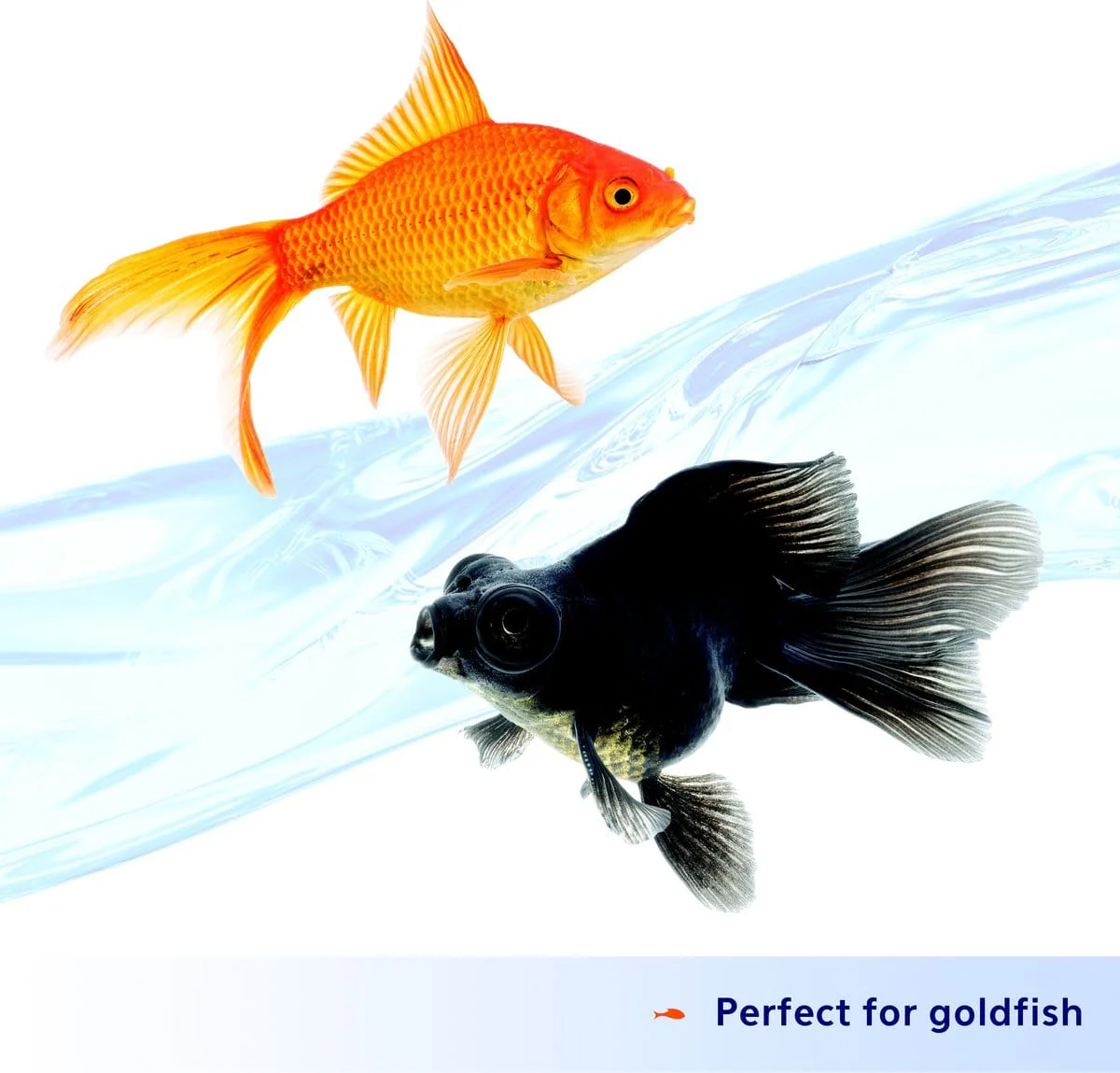 Aqueon Nutrinsect Goldfish Flakes - Image 2