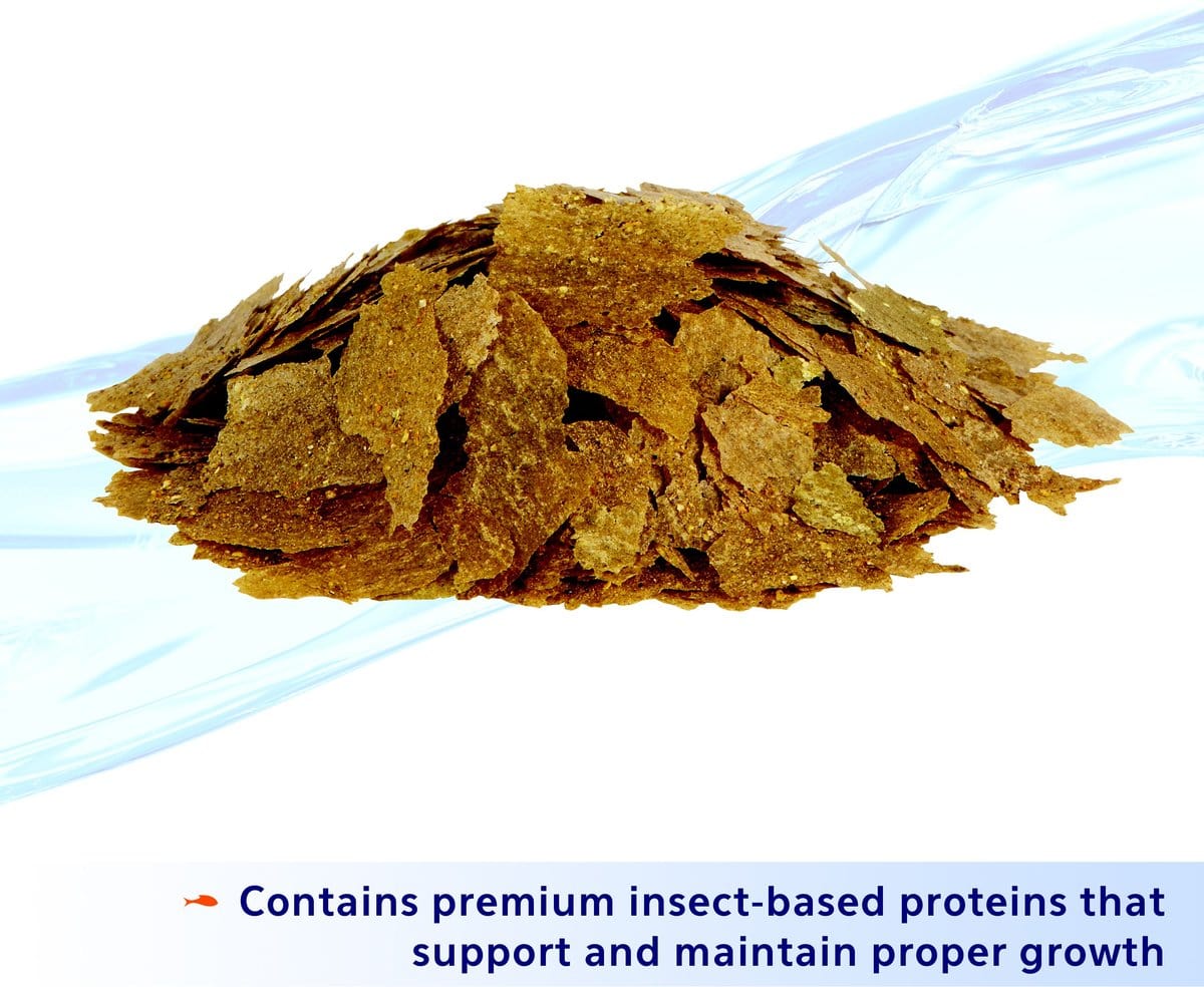 Aqueon Nutrinsect Goldfish Flakes - Image 4