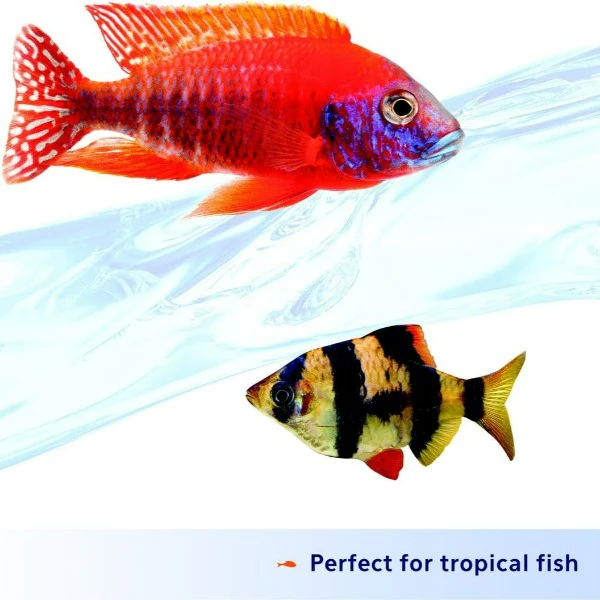 Aqueon Nutrinsect Tropical Pellets - Image 4
