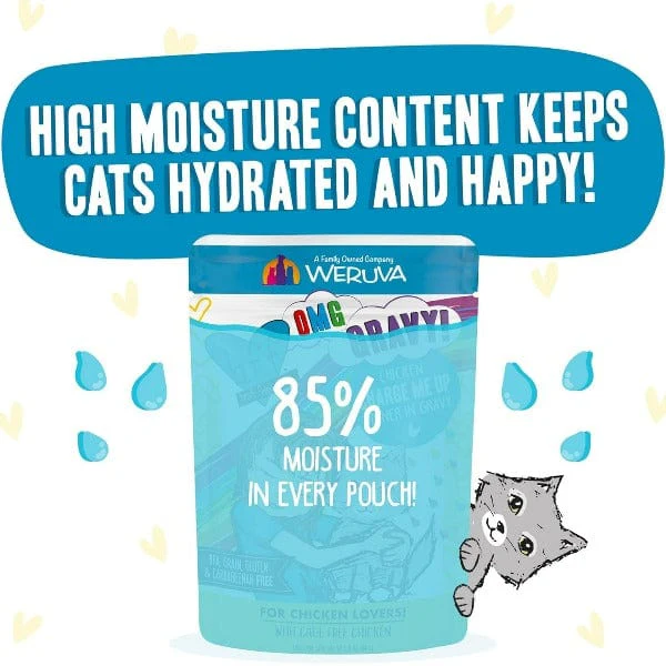 B.F.F. Charge Me Up Chicken Dinner in Gravy Pouch Cat Food; 12 Pack (SPECIAL ORDER ITEM) - Image 3