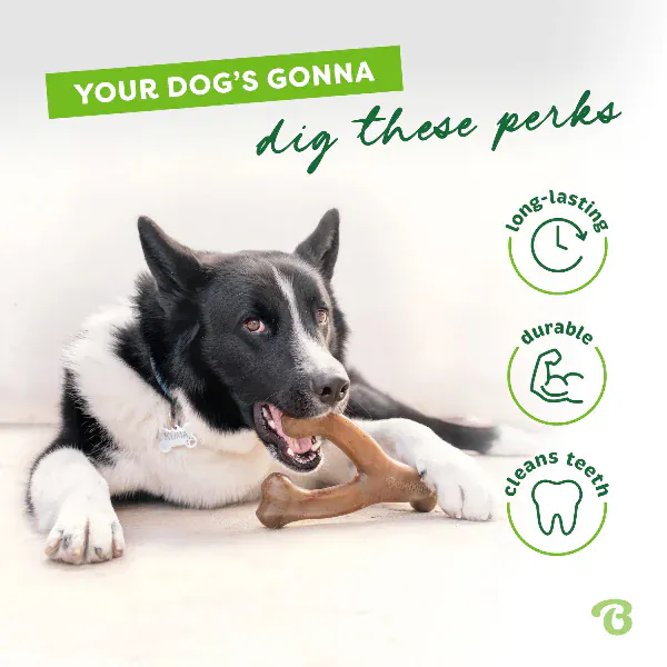 Benebone Bacon Wishbone Dog Chew Toy - Image 3