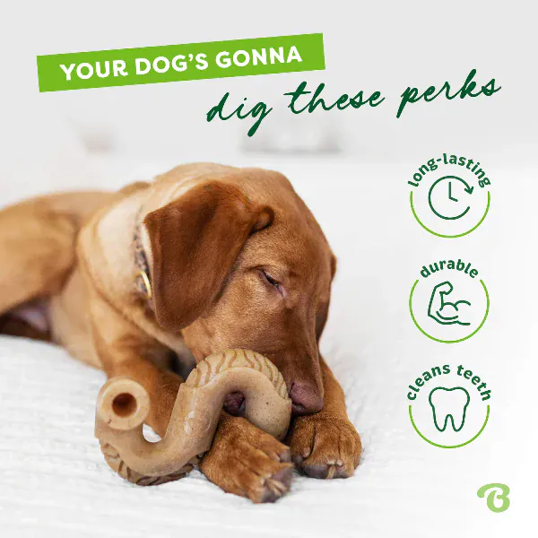Benebone Beef Tripe Bone Dog Chew Toy - Image 3