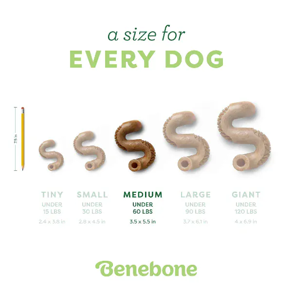 Benebone Beef Tripe Bone Dog Chew Toy - Image 5