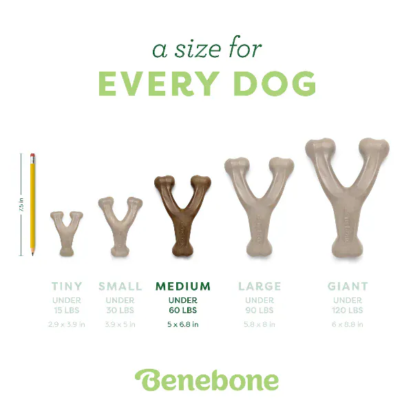 Benebone Chicken Wishbone Dog Chew Toy - Image 6