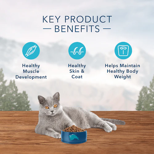 BLUE Wilderness Grain Free Indoor Chicken Recipe Dry Cat Food - Image 5