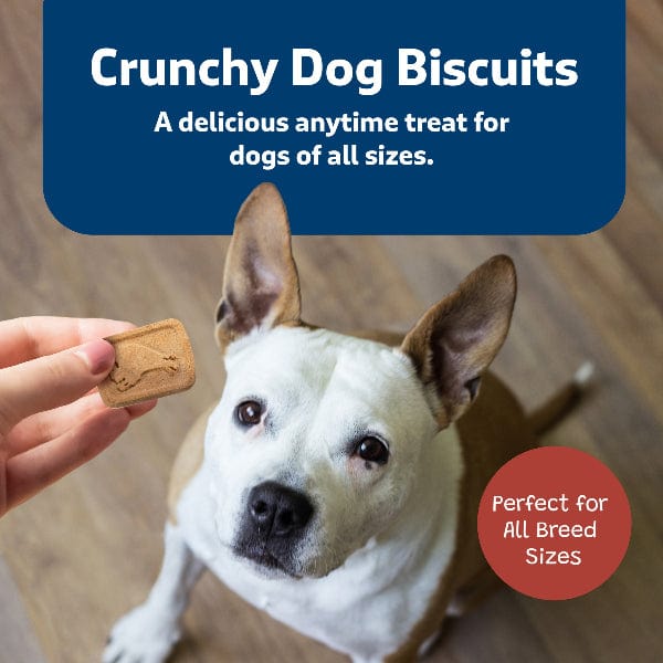BLUE Health Bars Natural Crunchy Dog Treats Biscuits; Bacon, Egg & Cheese - Image 4