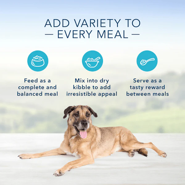 BLUE Homestyle Recipe Chicken Dinner Senior Canned Dog Food - Image 3
