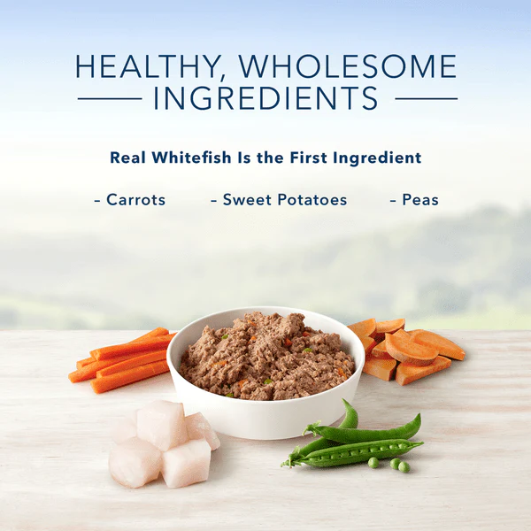 BLUE Homestyle Recipe Fish & Sweet Potato Dinner Canned Dog Food - Image 7