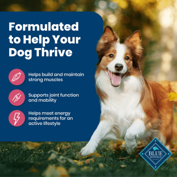 BLUE Life Protection Formula Salmon & Brown Rice Recipe Dry Dog Food, 26lb - Image 2