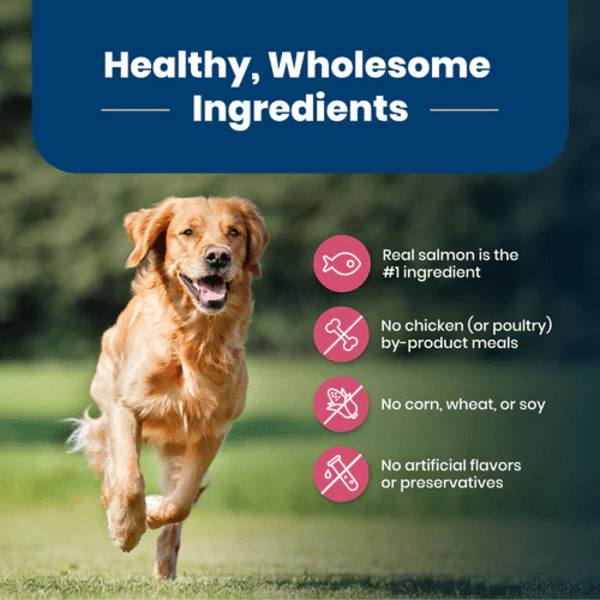 BLUE Life Protection Formula Salmon & Brown Rice Recipe Dry Dog Food, 26lb - Image 3