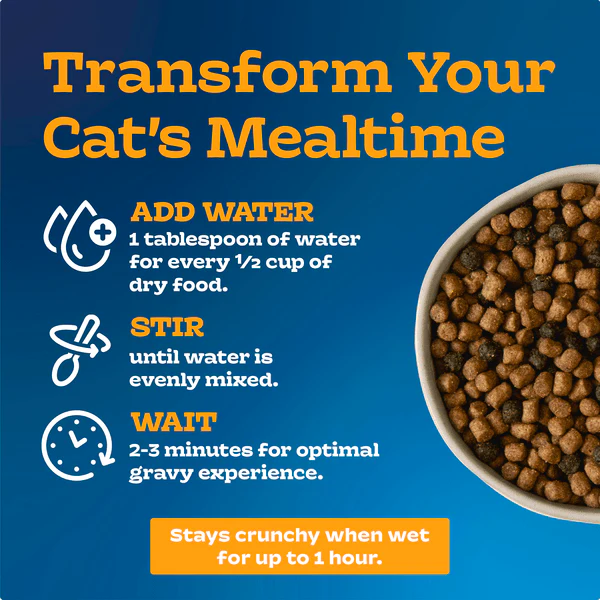 BLUE Tastefuls Gravy Chicken & Brown Rice Recipe Dry Cat Food, 7lb - Image 3