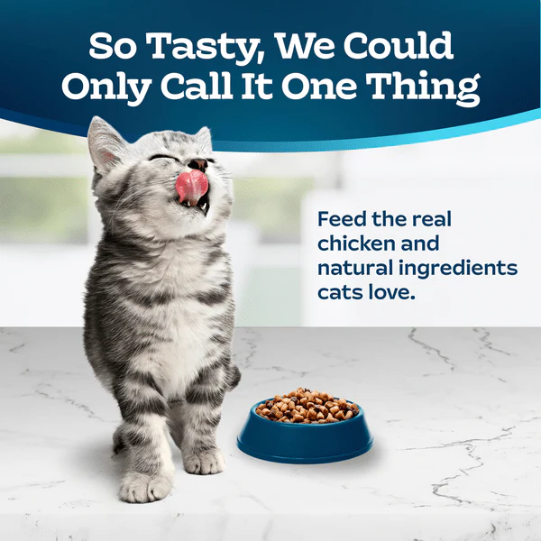 BLUE Tastefuls Healthy Growth Chicken & Brown Rice Recipe Kitten Dry Food, 7lb - Image 3