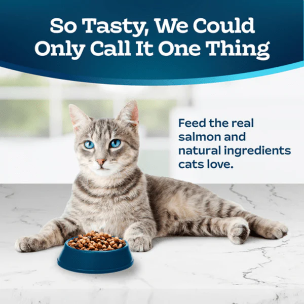 BLUE Tastefuls Indoor Health Salmon & Brown Rice Recipe Dry Cat Food - Image 3