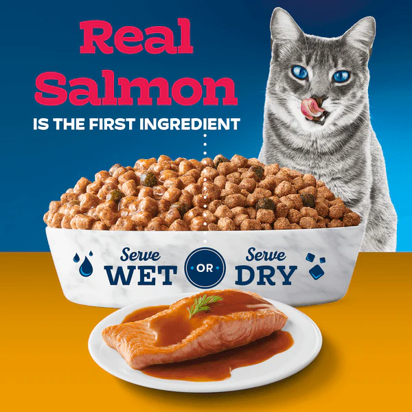 BLUE Tastefuls Gravy Salmon & Brown Rice Recipe Dry Cat Food, 7lb - Image 2