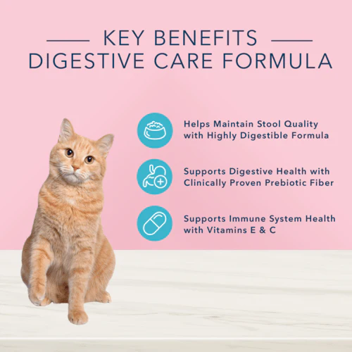 BLUE True Solutions Digestive Care Adult Canned Cat Food - Image 3