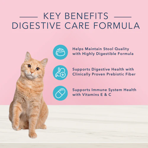 BLUE True Solutions Digestive Care Adult Dry Cat Food - Image 3