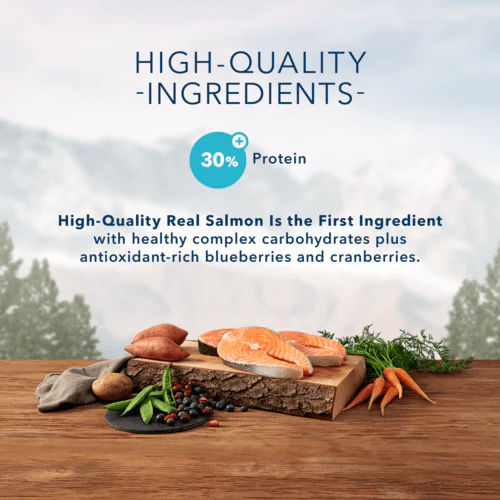 BLUE Wilderness Grain Free Salmon Recipe Dry Cat Food - Image 4