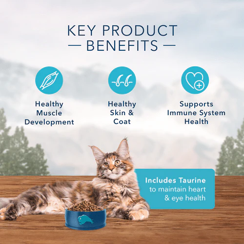 BLUE Wilderness Grain Free Salmon Recipe Dry Cat Food - Image 6
