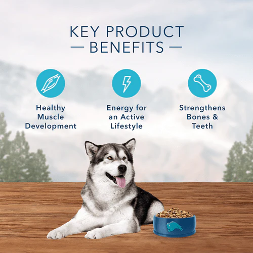 BLUE Wilderness Grain Free Salmon Recipe Dry Dog Food, 24lb - Image 4