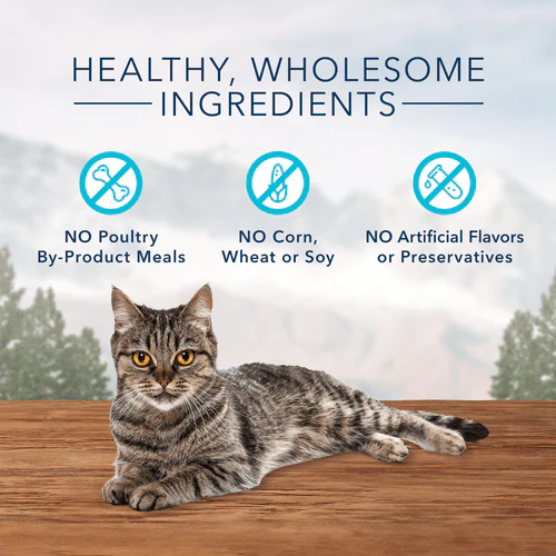 BLUE Wilderness Soft-Moist Cat Treats; Chicken & Turkey - Image 3