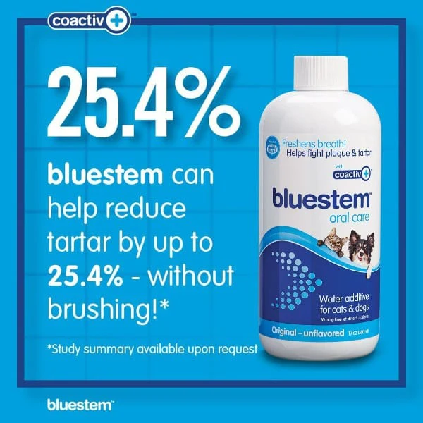 Bluestem Oral Care Original Flavor Water Additive for Cats & Dogs - Image 3