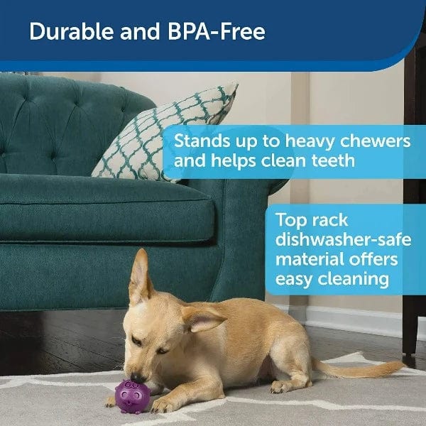 Busy Buddy Animals Treat Dispensing Dog Toy - Image 5