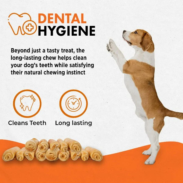 Canine Naturals Hide Free Beef Rolls Dog Chew - Image 5