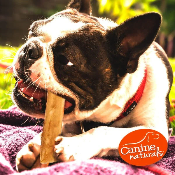 Canine Naturals Hide Free Beef Sticks Dog Chew - Image 6