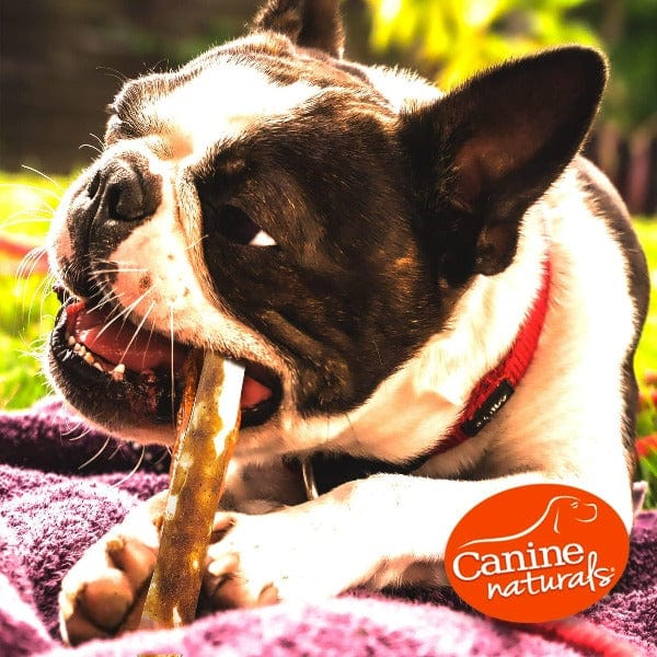 Canine Naturals Hide Free Peanut Butter Sticks Dog Chew - Image 6