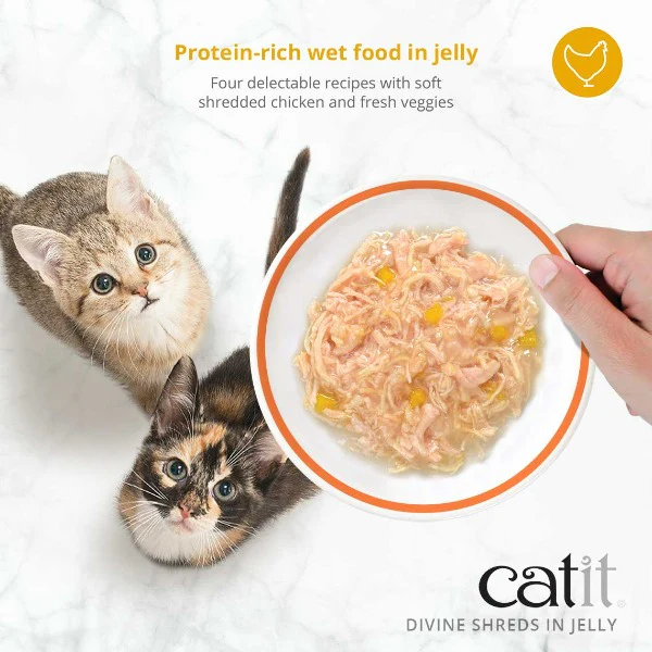 Catit Divine Shreds Chicken with Salmon & Pumpkin in Jelly Canned Cat Food Topper 4-Pack - Image 3