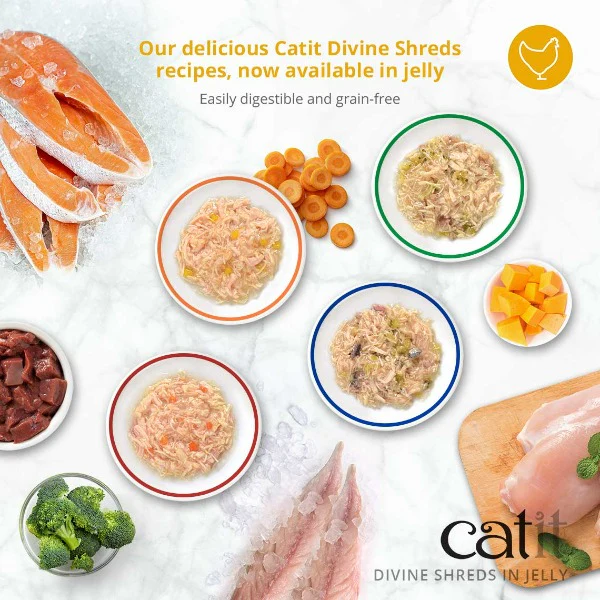 Catit Divine Shreds Chicken with Salmon & Pumpkin in Jelly Canned Cat Food Topper 4-Pack - Image 4