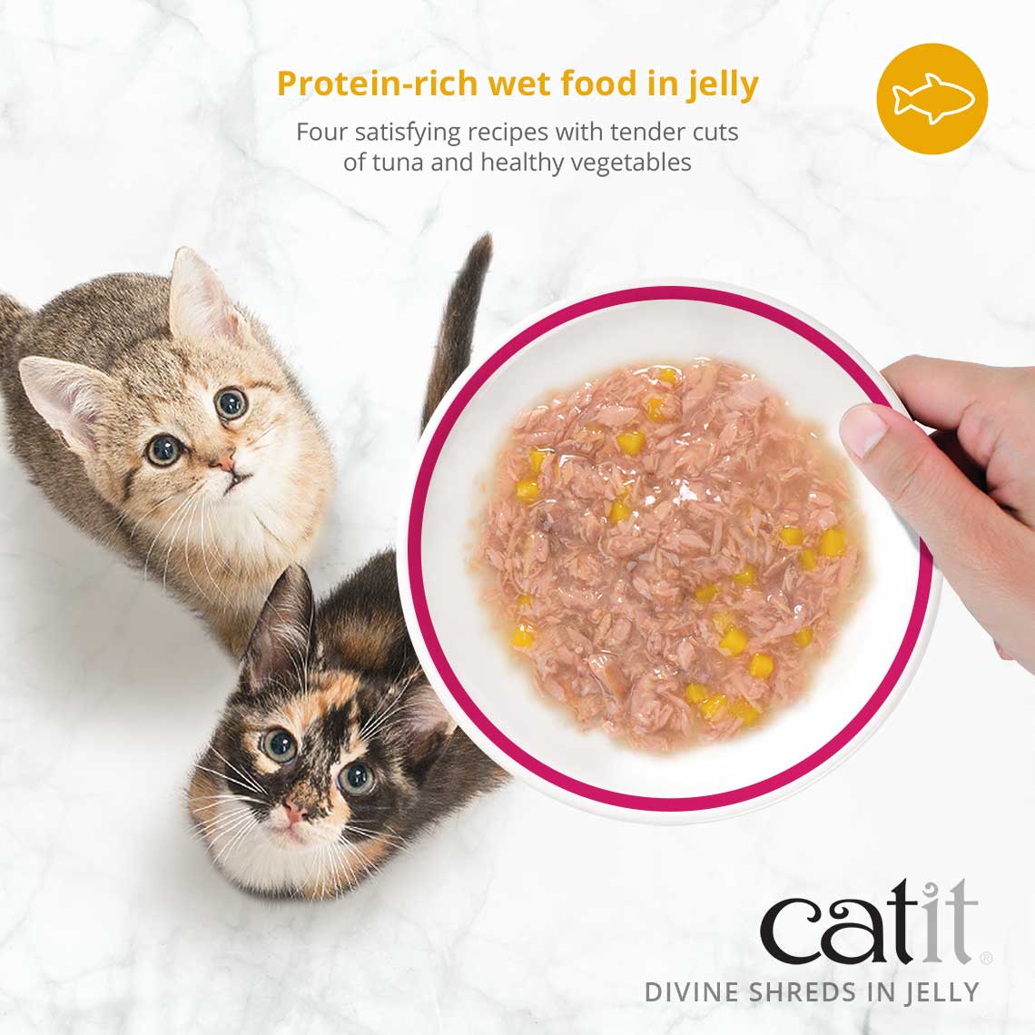 Catit Divine Shreds Tuna with Shrimp & Pumpkin in Jelly Canned Cat Food Topper 4-Pack - Image 3