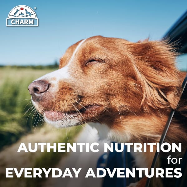 CHARM North Atlantic Ocean Fish Dry Dog Food - Image 8