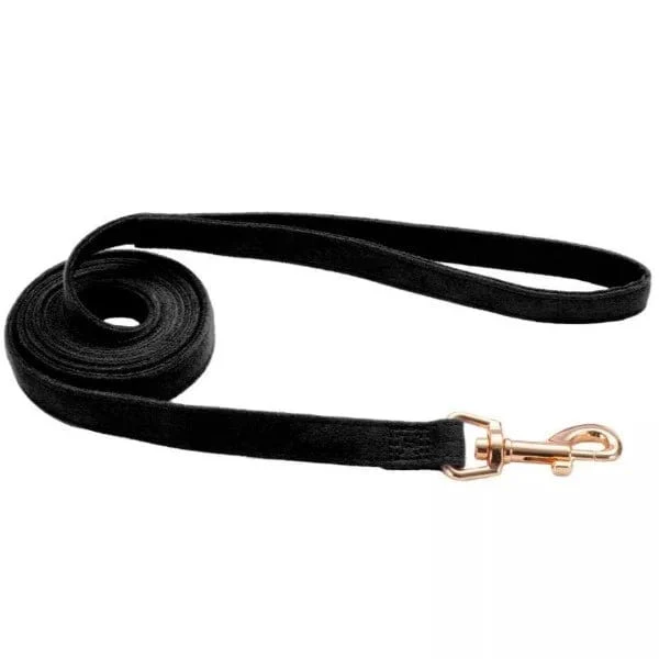 Coastal Accent Microfiber Dog Leash - Image 4
