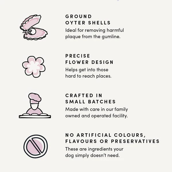 Crumps' naturals Plaque Busters Original Dental Sticks - Image 4