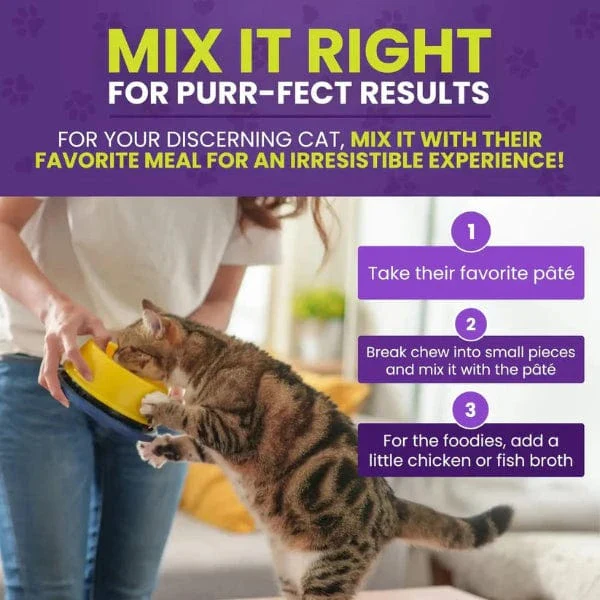 Cymbia CALM+ Calming Cat Supplement - Image 3