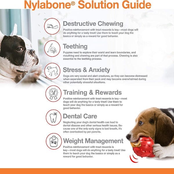 Nylabone DuraChew Textured Chicken Bone - Image 5